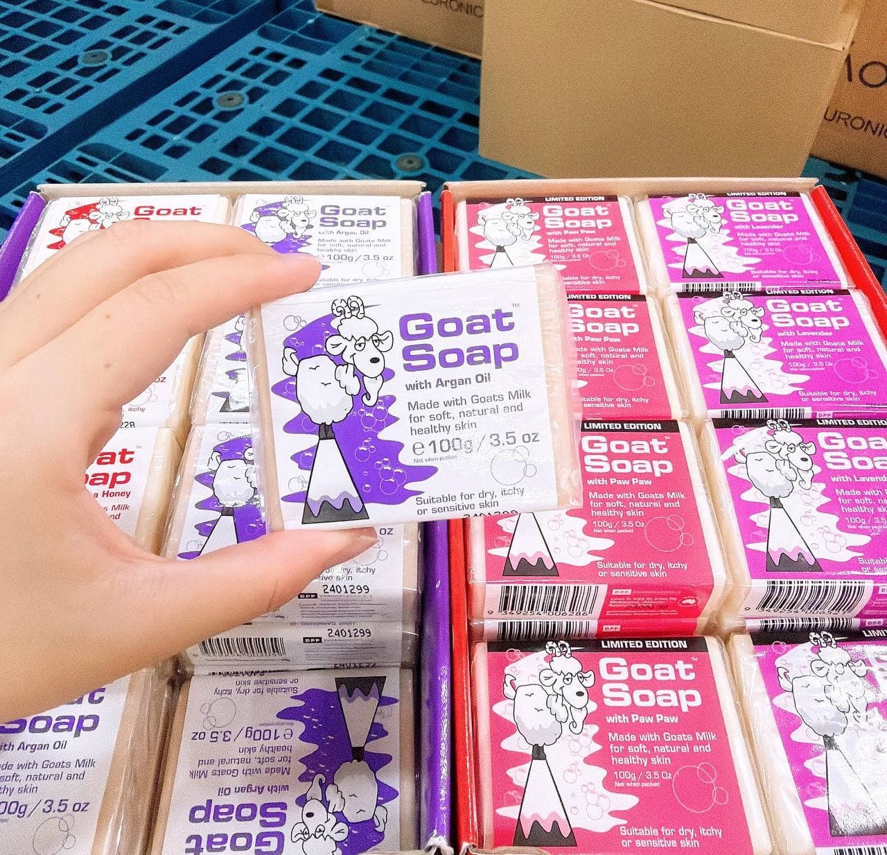 Goat Soap ( Argan Oil)  100g